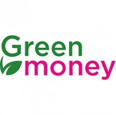 <span style="font-weight: bold;">2.&nbsp;GreenMoney&nbsp;</span>